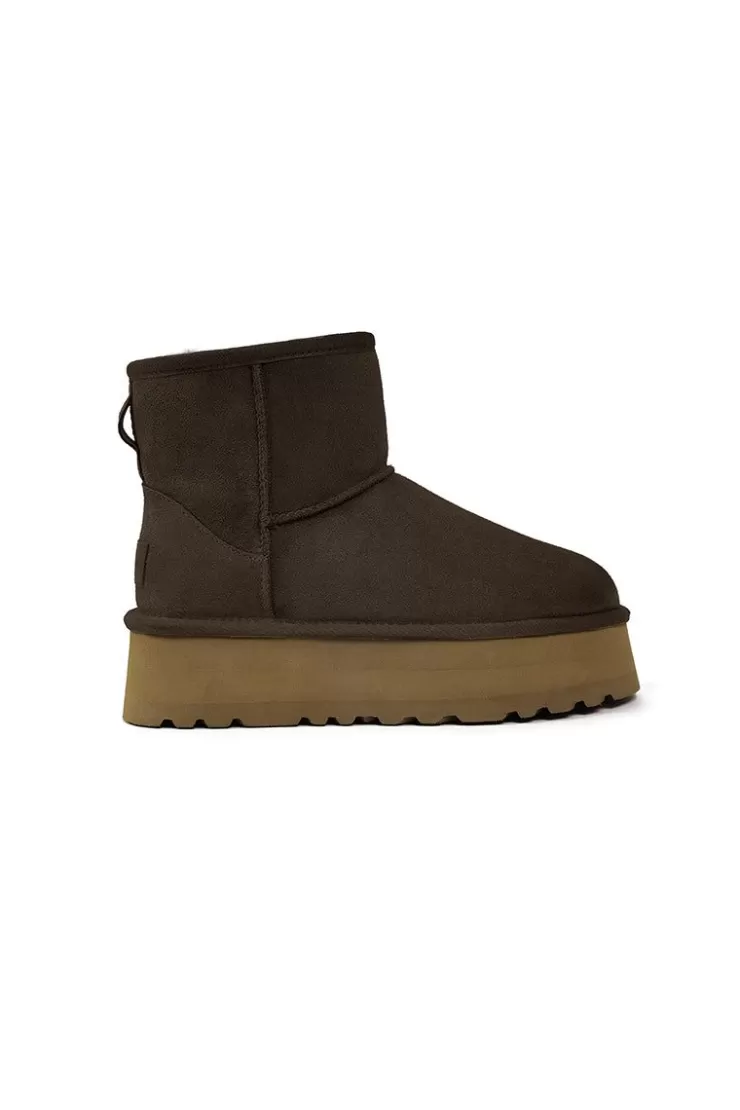 Ozlana Classic Platform Mini Boots(Chocolate) | Women Shoes