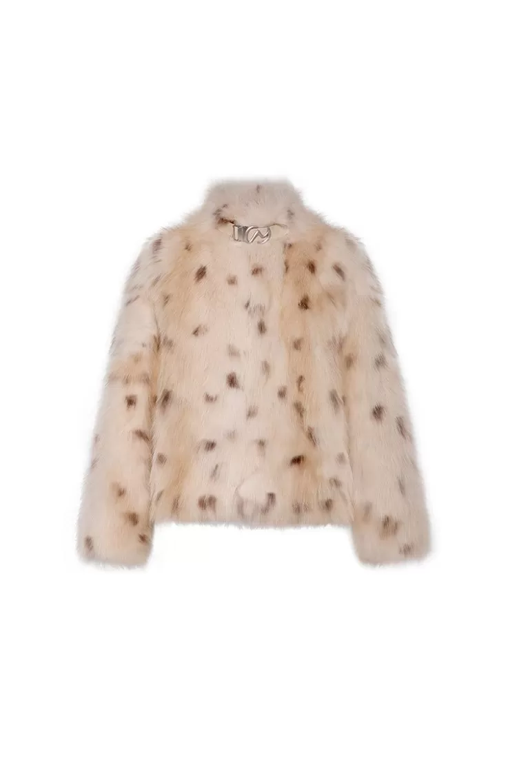Ozlana Royal Buckle Collar Racoon Fur Jacket (Chestnut) | Women Full Fur Jackets