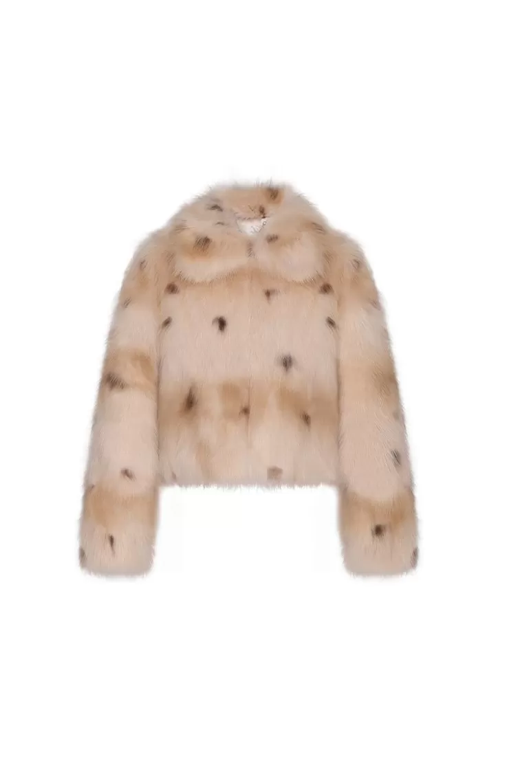 Ozlana Royal Collar Crop Racoon Fur Jacket (Chestnut) | Women Full Fur Jackets