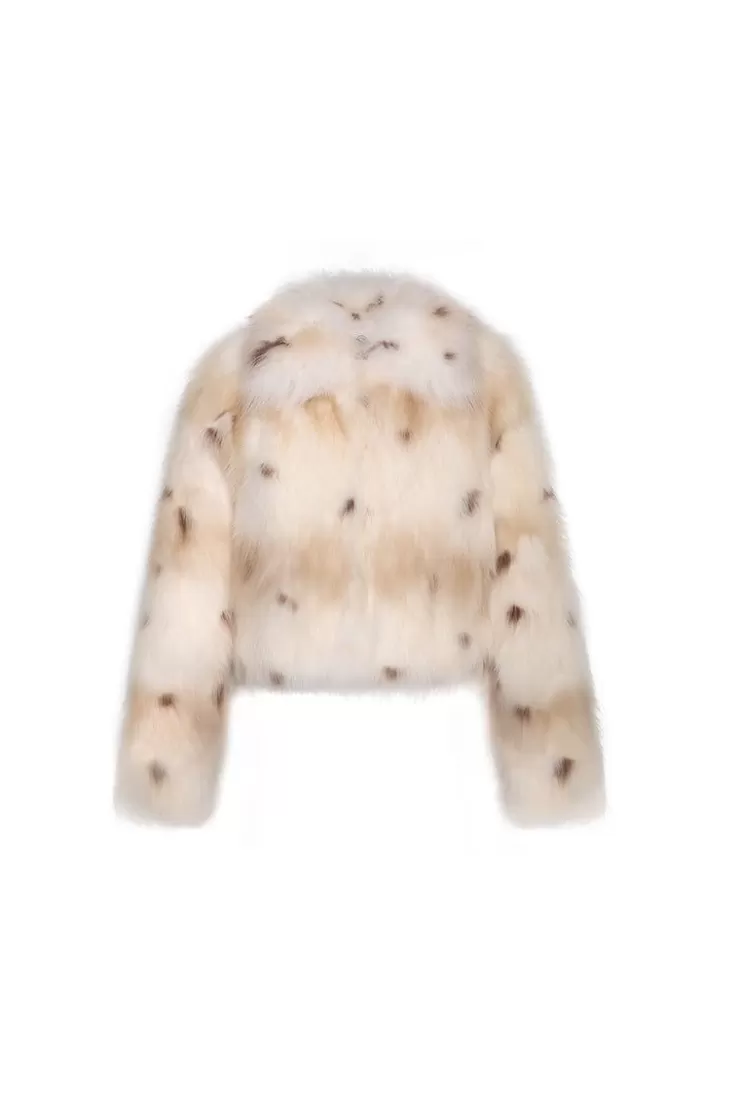 Ozlana Royal Collar Crop Racoon Fur Jacket (Cream) | Women Full Fur Jackets