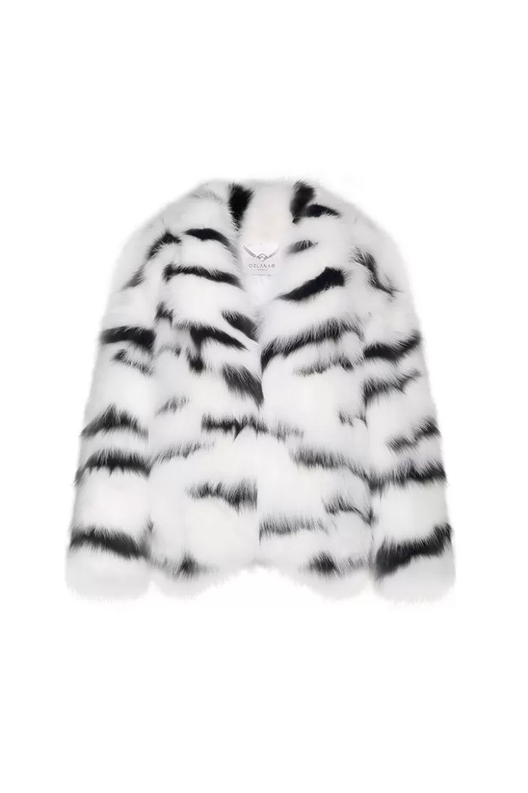 Ozlana Zebra Wide Lapel Racoon Fur Jacket(Black) | Women Full Fur Jackets